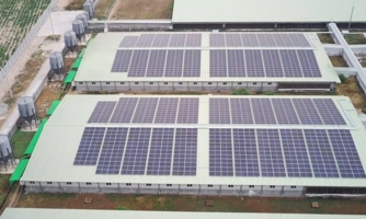 BAF Việt Nam tiên phong ứng dụng năng lượng mặt trời trong chăn nuôi 
