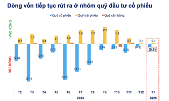 Hiệu suất giảm, các quỹ cổ phiếu tiếp tục bị rút ròng