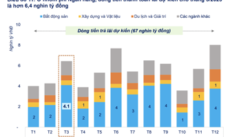 Áp lực trả lãi và nợ gốc trái phiếu trong tháng 3/2025 gần 20,7 nghìn tỷ đồng