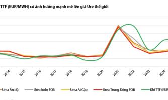 Giá phân bón thế giới dự báo tăng hết quý 1/2025 nhờ giá khí tăng 