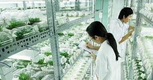 Hạ tầng Khu công nghệ cao sinh học định hướng theo tiêu chuẩn đô thị thông minh