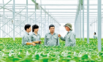 Sẽ có tiêu chí môi trường và xác nhận dự án đầu tư được cấp tín dụng xanh