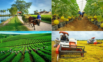 Nguyên nhân của việc chậm giải ngân vốn Chương trình Mục tiêu quốc gia giảm nghèo 
