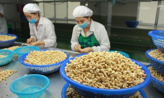 Doanh nghiệp phấp phỏng trước quyết định thuế đối ứng của Mỹ