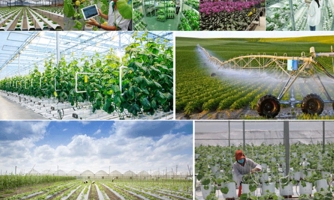 8 giải pháp thực hiện mục tiêu tăng trưởng của ngành Nông nghiệp và Môi trường