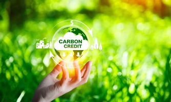 Mức độ sẵn sàng tham gia thị trường carbon của các doanh nghiệp Việt là khác nhau