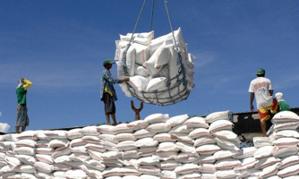 Gạo Việt Nam vẫn sẽ là nguồn nhập khẩu chính của Philippines 