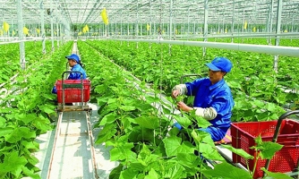 Gỡ các “nút thắt” thúc đẩy chuyển đổi xanh