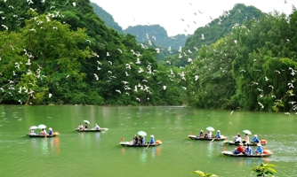 Phát triển kinh tế xanh và bước chuyển chiến lược của Ninh Bình