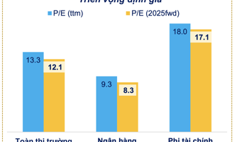 Định giá nhóm cổ phiếu vừa và nhỏ đang "rẻ"? 