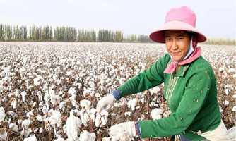 Sợi bông Việt Nam có nguy cơ bị áp thuế tự vệ tại Indonesia 