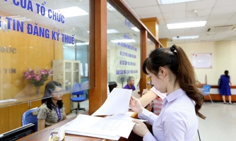 Mức thuế bình quân thu được của hộ kê khai cao gấp 5 lần hộ khoán 