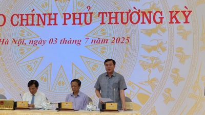 Thứ trưởng Công Thương Nguyễn Sinh Nhật Tân: Tăng cường phối hợp giữa bên liên quan để thực hiện hiệu quả Nghị định 117