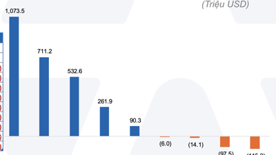 ETF Việt Nam bất ngờ hút tiền mạnh nhất Đông Nam Á 