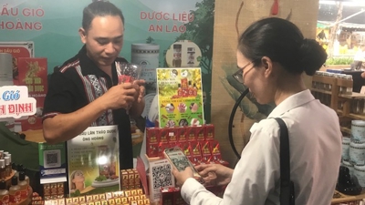 Tổ chức Tuần lễ Thương mại số và Kết nối vùng Đà Nẵng 2025