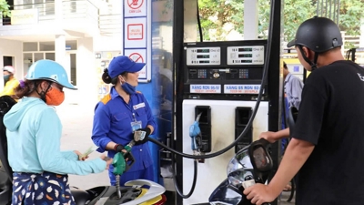 Giá xăng đi lên, các mặt hàng dầu tăng giảm tùy loại