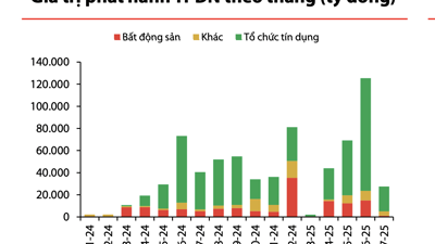 Phát hành trái phiếu doanh nghiệp bất ngờ sụt giảm mạnh