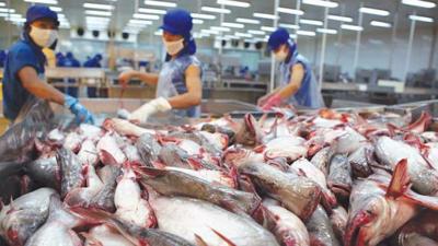 Mời 7 bộ ngành giúp thủy sản Việt Nam tránh thẻ vàng EU