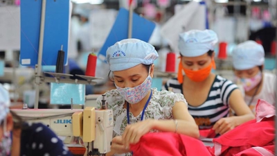 Long-term strategy needed to fight pandemic