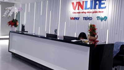 $250 mln goes to unicorn VNLIFE