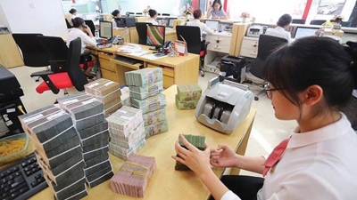 SBV sets 2021 credit growth target of 12%