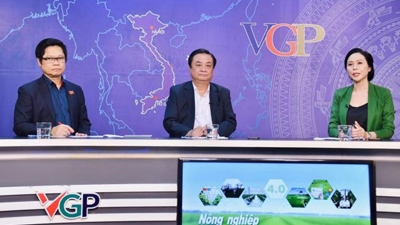 Nông nghiệp thích ứng sau đại dịch: Chấp nhận nhỏ nhưng không lẻ