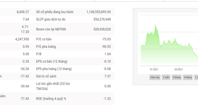 9 tháng, HNG lỗ tiếp 304 tỷ đồng và nâng lỗ lũy kế lên gần 2.610 tỷ đồng