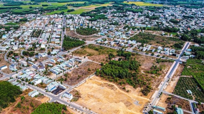 Dong Nai changing land use purpose of agricultural land