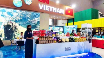 ‘Vietnam National Pavilion’ to go on Chinese e-commerce platform