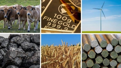 Dự báo giá hàng hoá tiếp tục leo thang năm 2022