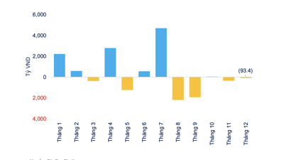 13 quỹ ETF ghi nhận dòng tiền vào ròng 4.700 tỷ đồng năm 2021, tập trung chủ yếu ở quỹ nội