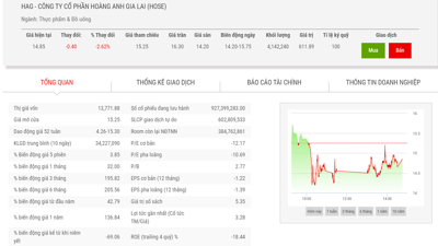 Ngân hàng sắp bán hơn 48 triệu cổ phiếu HNG thu hồi nợ của HAG