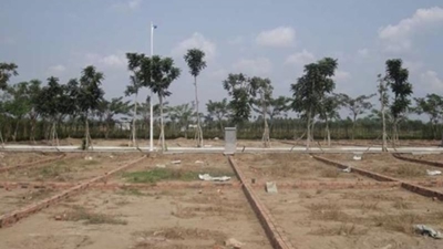 Da Nang to auction land plots