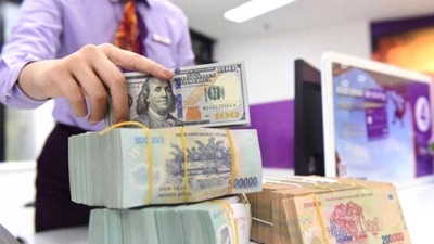 SBV to ease lending rates but leave lending conditions untouched