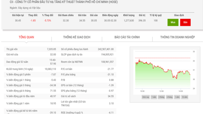 CII: giải trình nguyên nhân và phương án khắc phục tình trạng cảnh báo