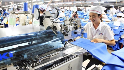 Decree on minimum wages to go to government