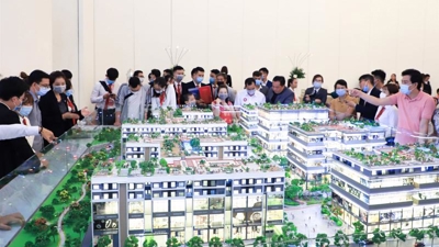 Land fever unlikely in 2022