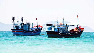 Bộ Nông nghiệp và Phát triển nông thôn đang yêu cầu chấm dứt tình trạng tàu cá vi phạm khai thác IUU.