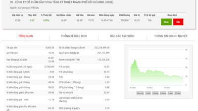 6 tháng đầu năm, CII báo lãi hơn 700 tỷ, dự kiến trả 2.800 tỷ đồng nợ gốc trái phiếu trước hạn