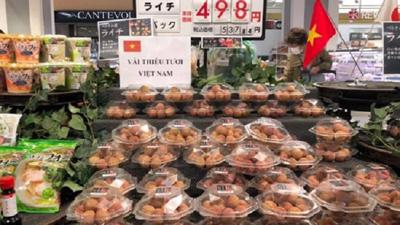 Vải thiều tươi của Việt Nam tiếp tục chinh phục thị trường Nhật Bản