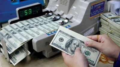 VDSC: VND to depreciate 2-2.5% this year