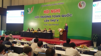 Trưởng đại diện UNDP: Việt Nam cần 330-370 tỷ USD để đạt mục tiêu phát thải ròng bằng 0