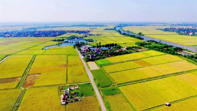 Deputy PM: Research underway on granting foreigners access to land