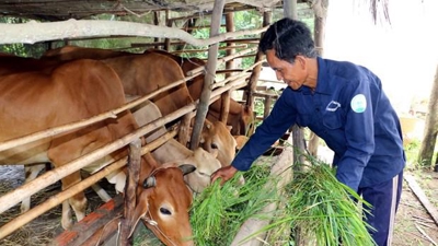 Challenges remain in poverty reduction