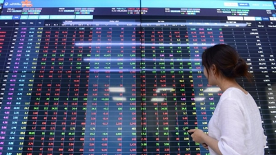 Investors waiting to return to stock market