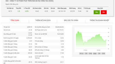 Bị bán giải chấp hơn 1 triệu cổ phiếu HDC, Chủ tịch và Tổng giám đốc cho rằng công ty chứng khoán thiếu tinh thần trách nhiệm, thiện ý