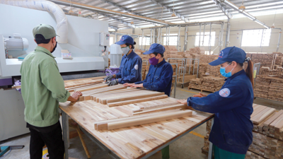 Bi hài chuyện thuế ngành nông, lâm nghiệp