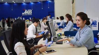 Winners of Brand Vietnam Awards announced