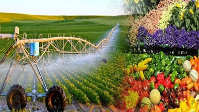 Sức lan tỏa lớn từ các dự án hỗ trợ của UNDP đối với nông nghiệp  Việt Nam