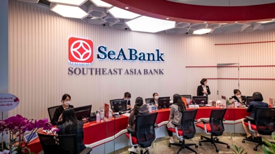 IFC invests $100mln in SeABank